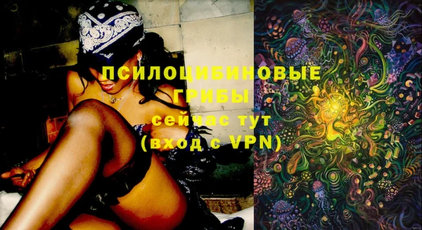 jwh Алексеевка