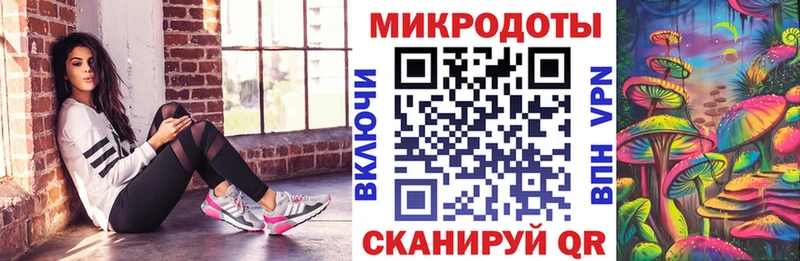 Псилоцибиновые грибы Psilocybe  Пикалёво 